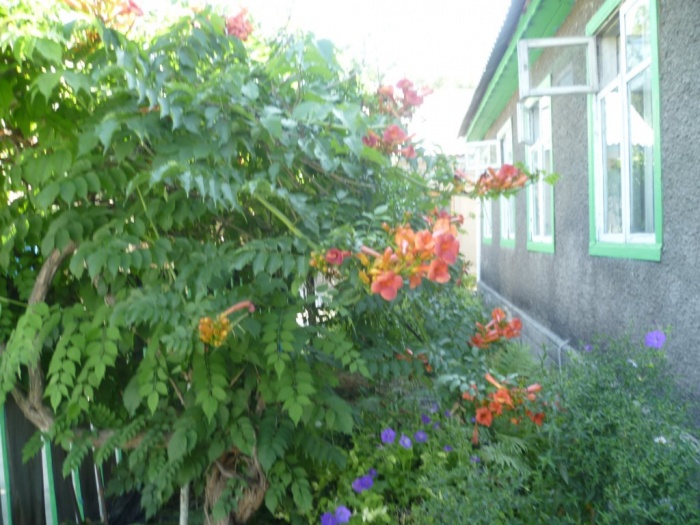 продам дом,на границе с городом, отеген батыр, фотография 1