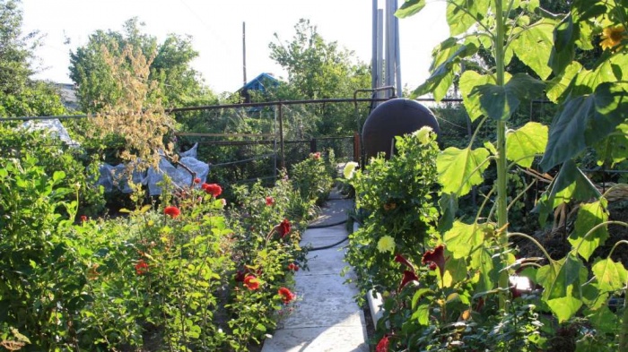 СРОЧНО продаётся двухэтажный,уютный и очень тёплый дом, фотография 6