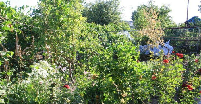 СРОЧНО продаётся двухэтажный,уютный и очень тёплый дом, фотография 7