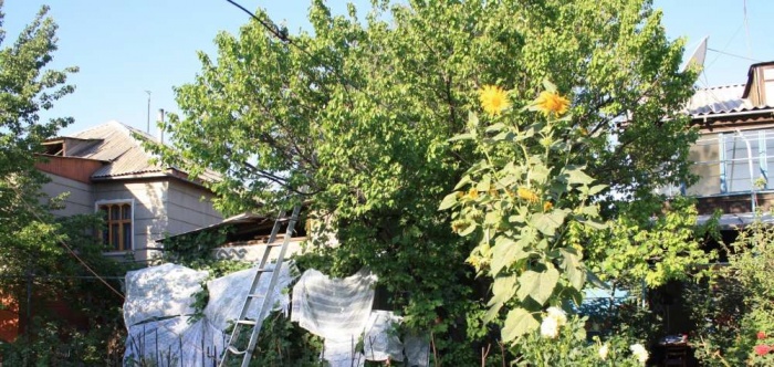 СРОЧНО продаётся двухэтажный,уютный и очень тёплый дом, фотография 8