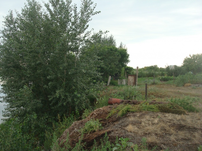 Продам участок, За Дарьинском, фотография 5