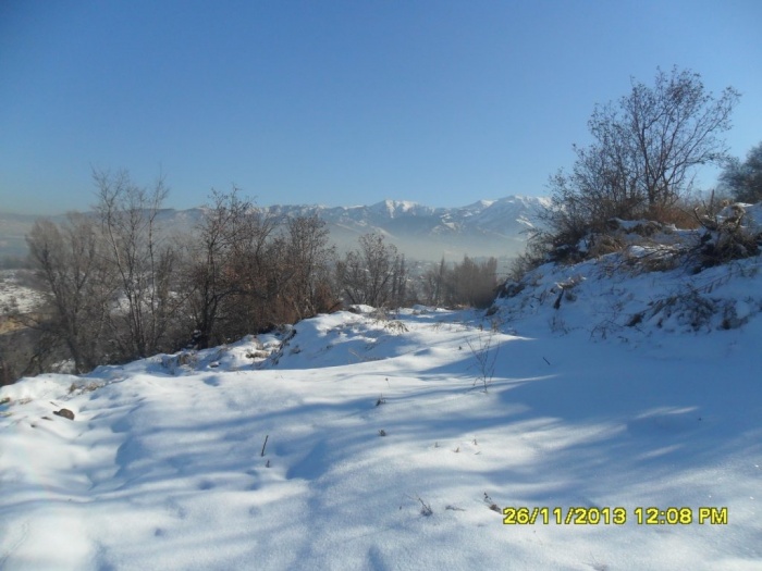 Продам участок 42.2 соток,ИЖС,Горный Гигант,рядом с ЖК Эдельвейс, фотография 6