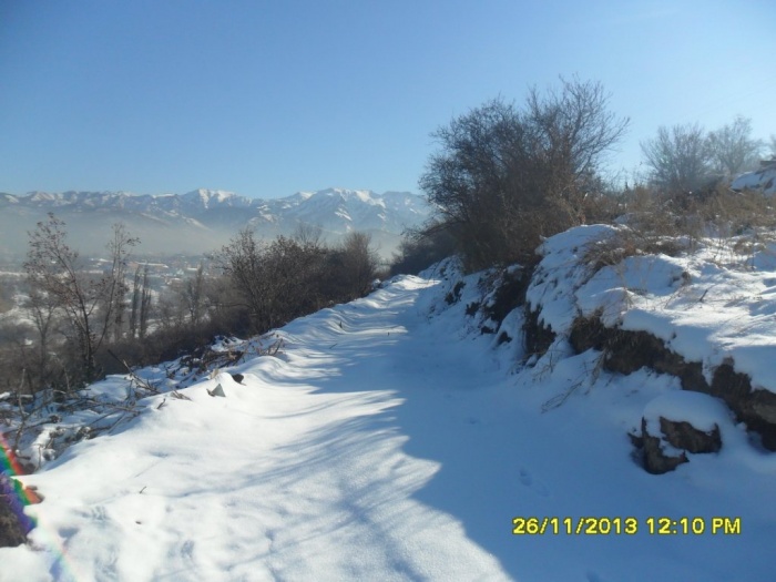 Продам участок 42.2 соток,ИЖС,Горный Гигант,рядом с ЖК Эдельвейс, фотография 8