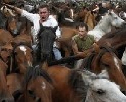 Продаю табун лошадей (кобылу, фотография 2