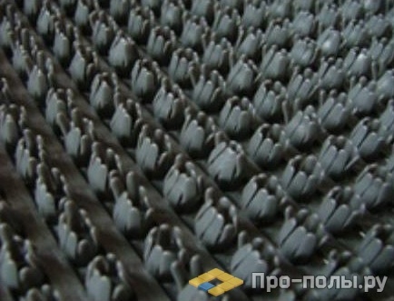 Щетинистое покрытие , фотография 2