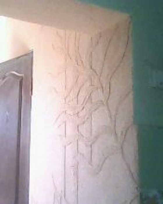 делаю ремонт быстро качественно не дорого, фотография 4