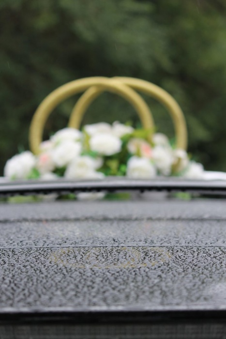 фотосьемка, фотография 1