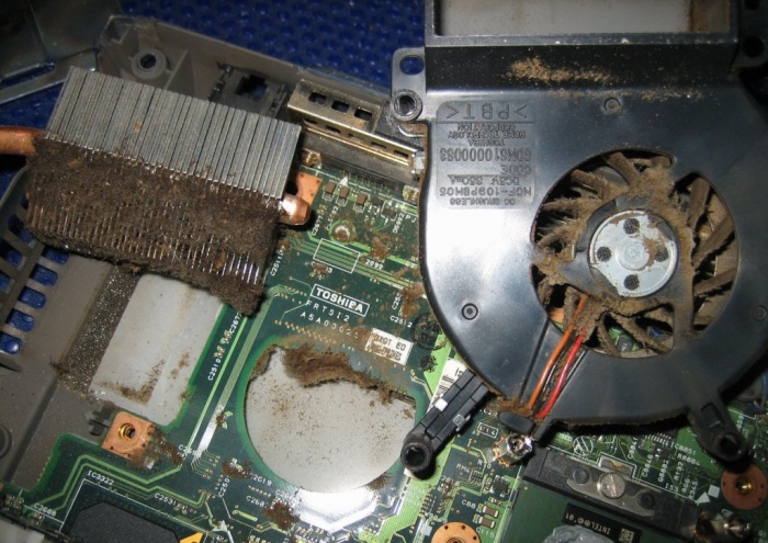 Прочистка (профилактика) ноутбуков, нетбуков и моноблоков., фотография 4