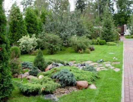 ландшафтный дизайн -от проекта до ухода, фотография 8