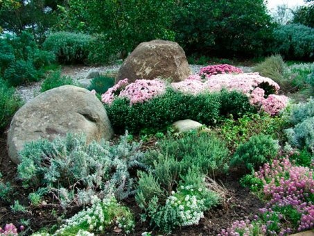 ландшафтный дизайн -от проекта до ухода, фотография 11