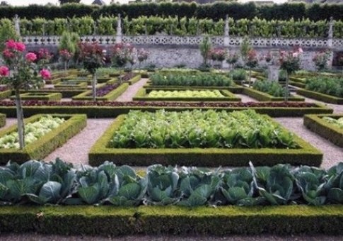 ландшафтный дизайн -от проекта до ухода, фотография 14