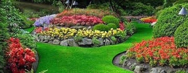 ландшафтный дизайн -от проекта до ухода, фотография 16