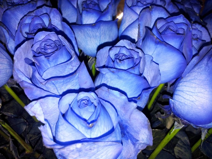 Доставка цветов в Алматы!, фотография 4