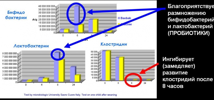Купить Баобаб Лайф в А стане Очищение Организма, фотография 5