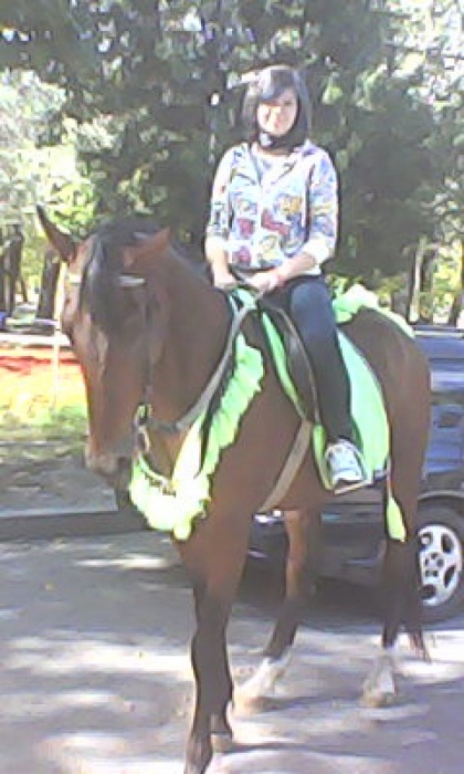Обучение верховой езде на лошади, фотография 1