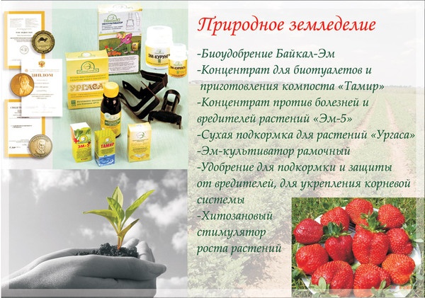 Арго для всей семьи, фотография 7