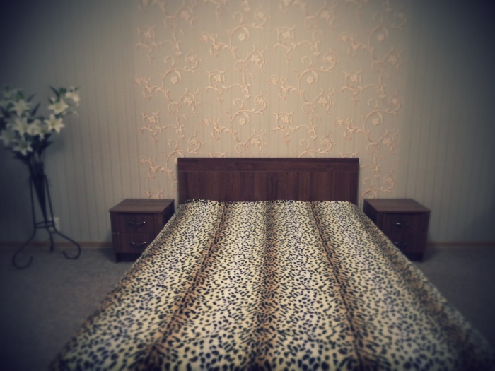 Квартира посуточно и по часам, Момышулы- Толе би, фотография 1