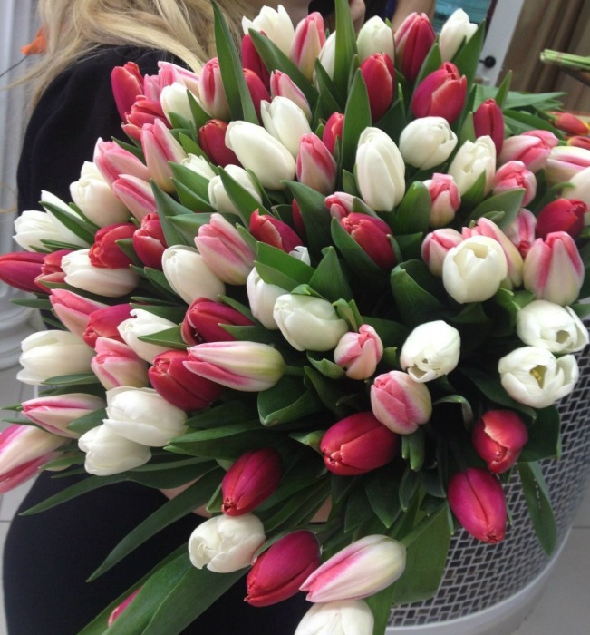 Тюльпаны доставка по Алматы, фотография 1