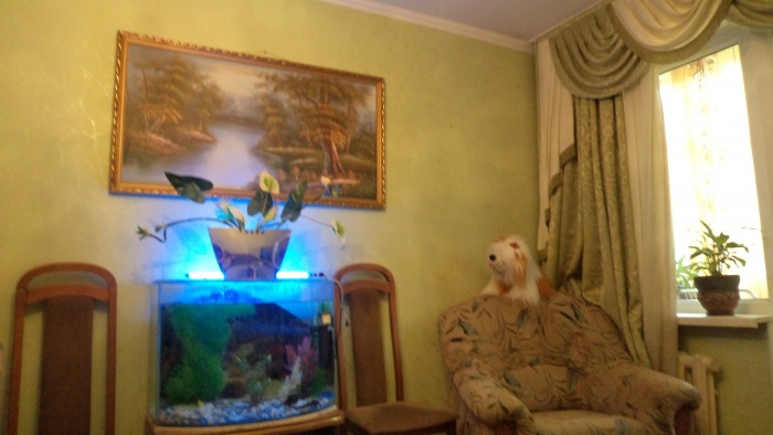 Сдам в аренду квартиру, 8 мкр. д.19, фотография 12