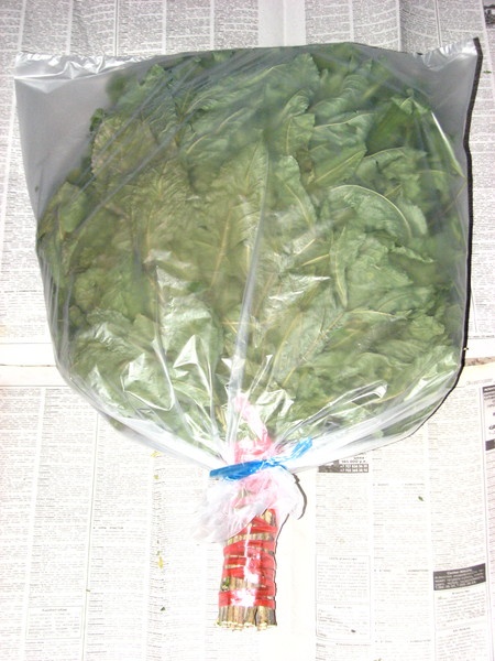 Дрова,банные веники,щепа фруктовых деревьев для коптильни., фотография 4