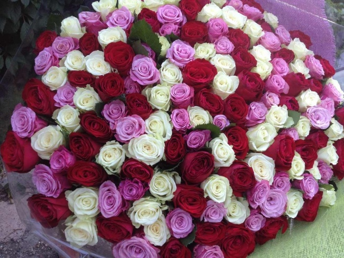 Букет из 151 роз за смешную цену, фотография 1