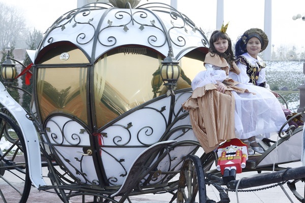 кареты, фотография 1