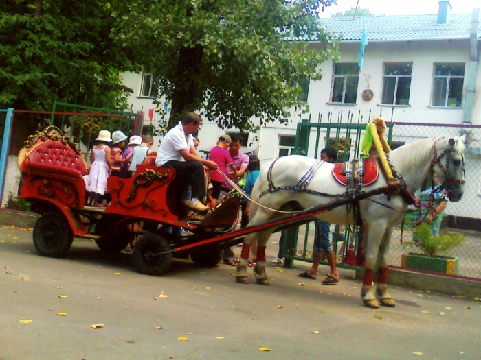 кареты, фотография 7