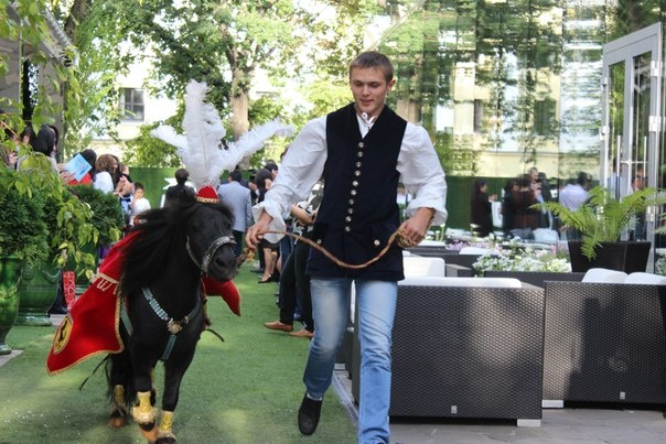 Профессиональные Детские Аниматоры , фотография 5