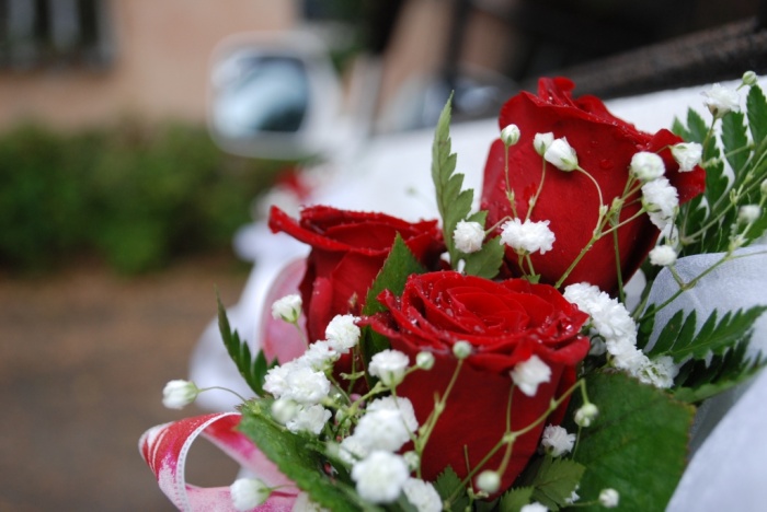 Фото, видеосъемка, фотография 2