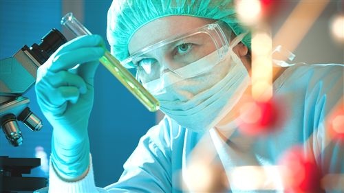 Установление отцовства, фотография 1