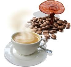 Открытие! Ганодерма (Рейши) ― в чашке кофе., фотография 1