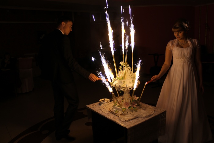 Тамада Татьяна Ситникова, фотография 9