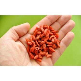 Ягоды Годжи, фотография 2