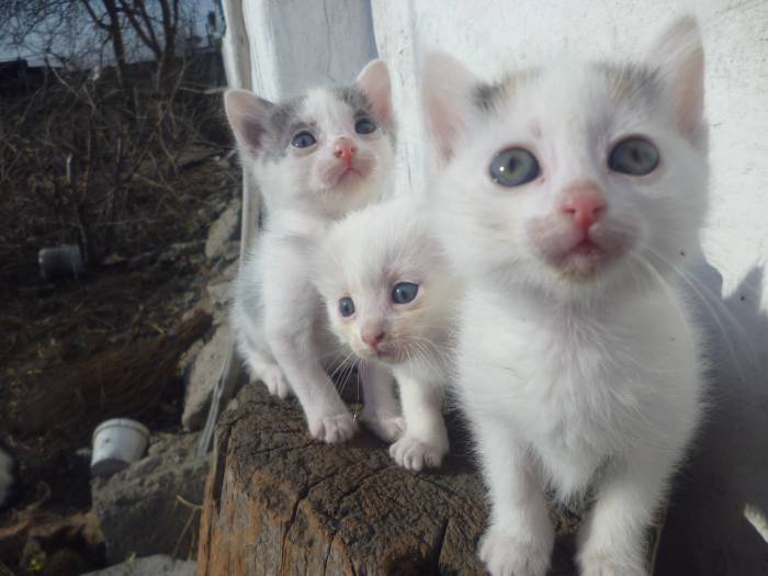 lfh. rjnzn, фотография 1