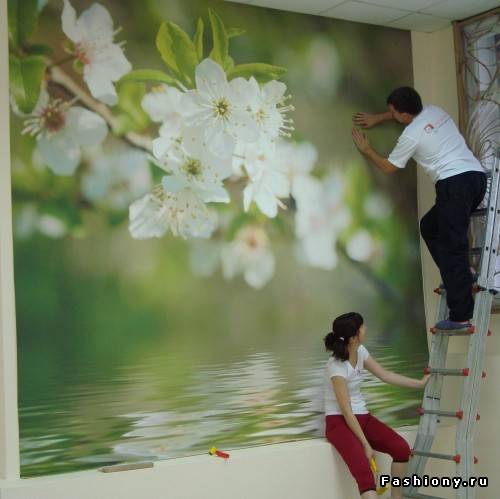 Фотообои Алматы, фотография 1