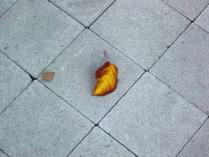 Брусчатка, фотография 3