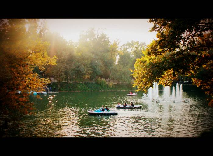 Фотограф , фотография 2