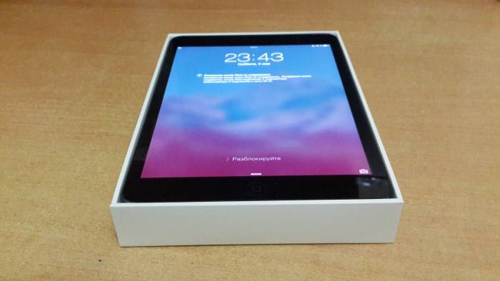 Ipad Mini, фотография 1
