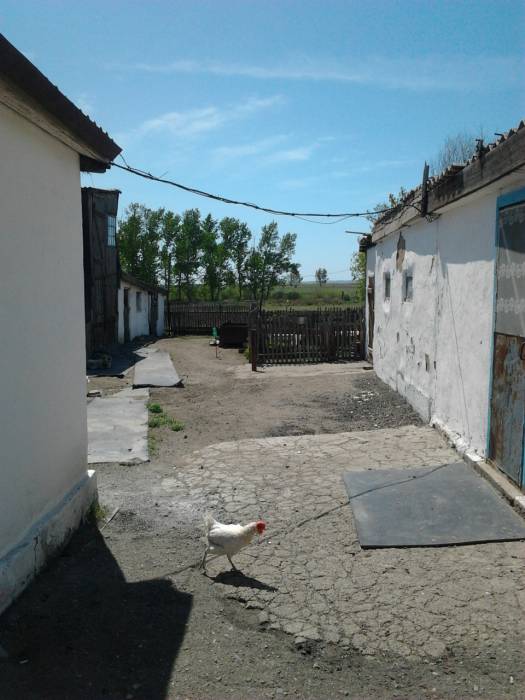 Продается пол-дома, с.Петровка, фотография 2