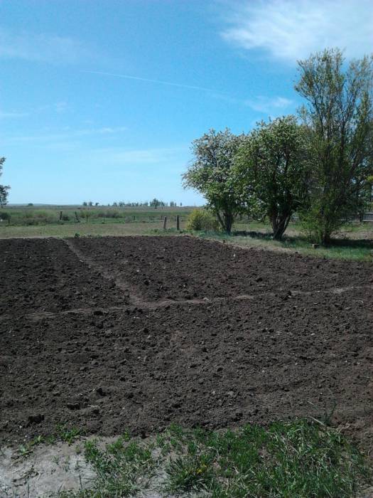 Продается пол-дома, с.Петровка, фотография 3