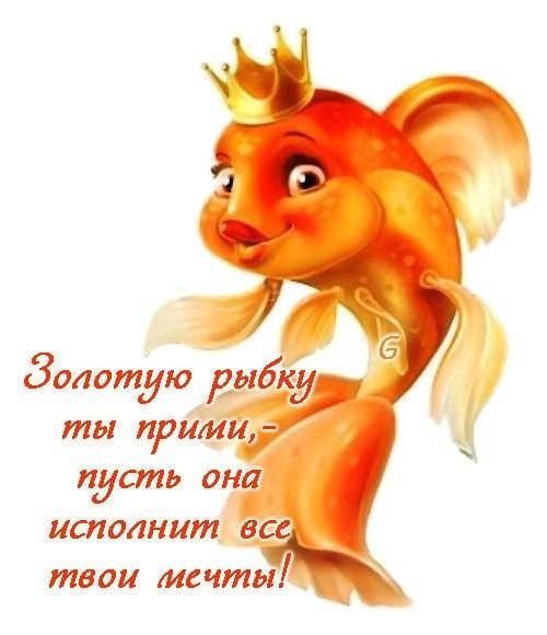 Работа в коммерческой компании., фотография 1