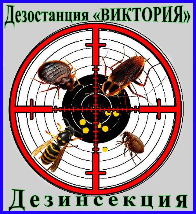 Дезостанция «ВИКТОРИЯ», уничтожение насекомых (дезинсекция) в Алматы., фотография 1