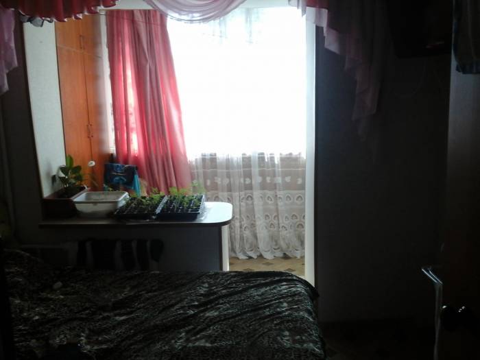 зх комнатная  срочно (ЛЕСОЗАВОД), фотография 4