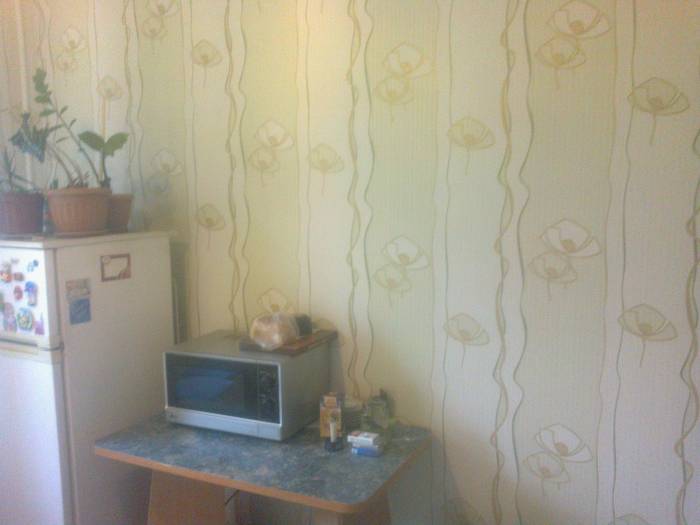 2х комнатная квартира в центре, фотография 4