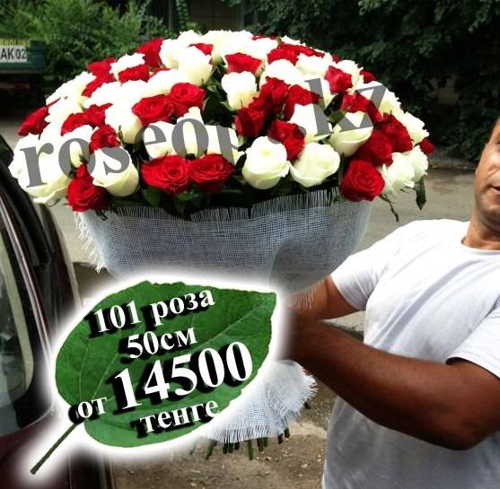 101 роза, доставка бесплатная, фотография 1