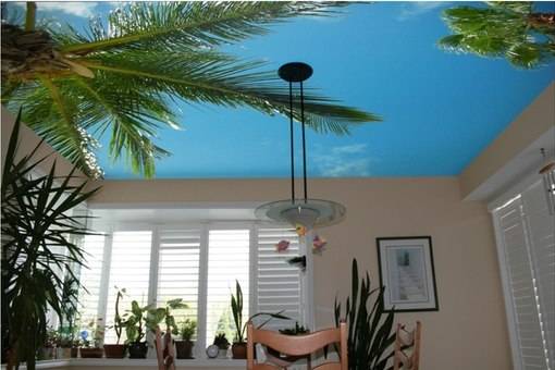 УФ Печать на любых видах поверхности (стекло, пластик, мдф, кафель, натяжные потолки.), фотография 9