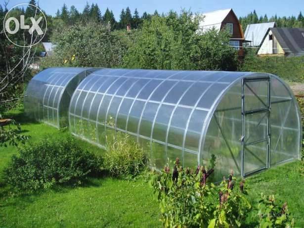 Теплицы в Караганде, фотография 1