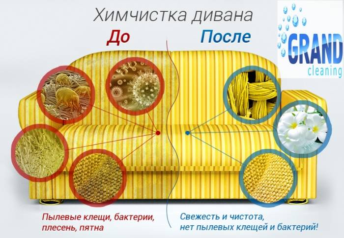 Профессиональные услуги клининга. Уборка, химчистка, фотография 2