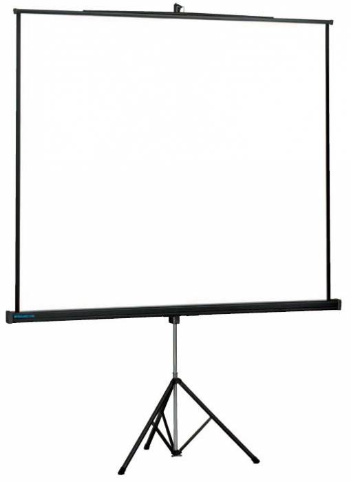 Проектор в аренду, экран в прокат, фотография 2