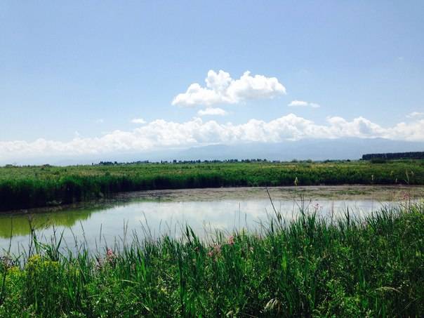 Рыбалка, фотография 2